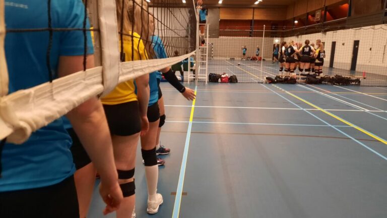 Volleybal Rolde
